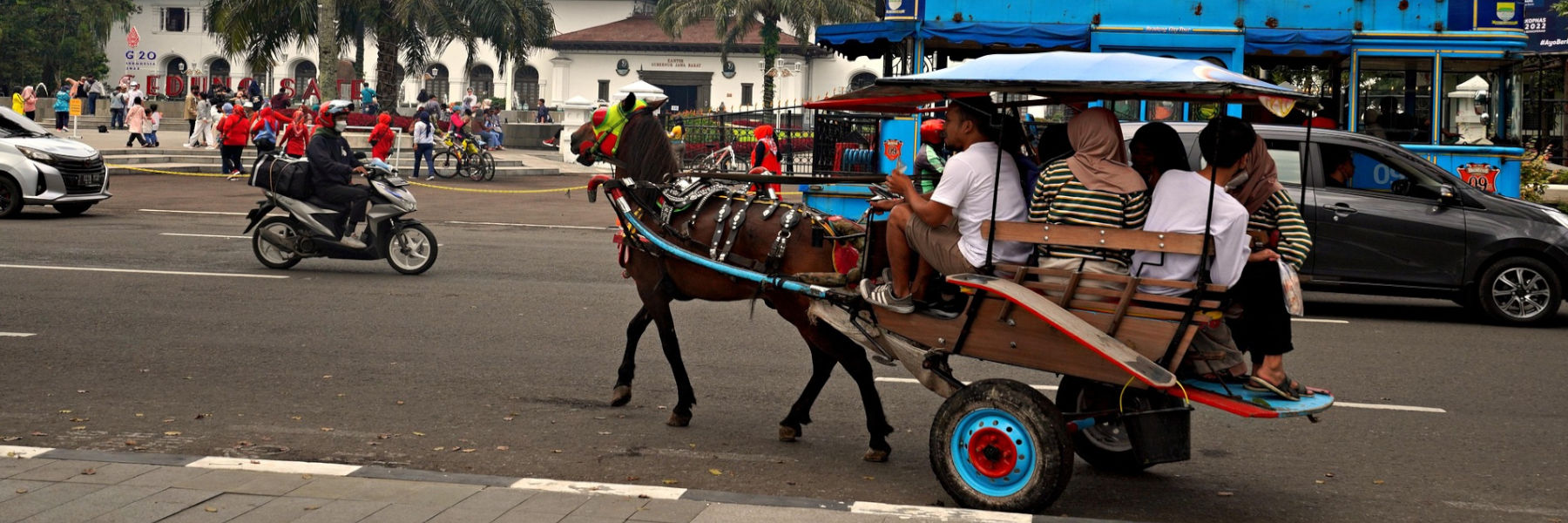 vervoer en transport regelen op reis pexe