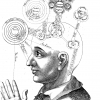 schematische tekening hersenen en psychologie